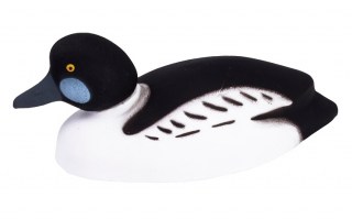 gogol drake1